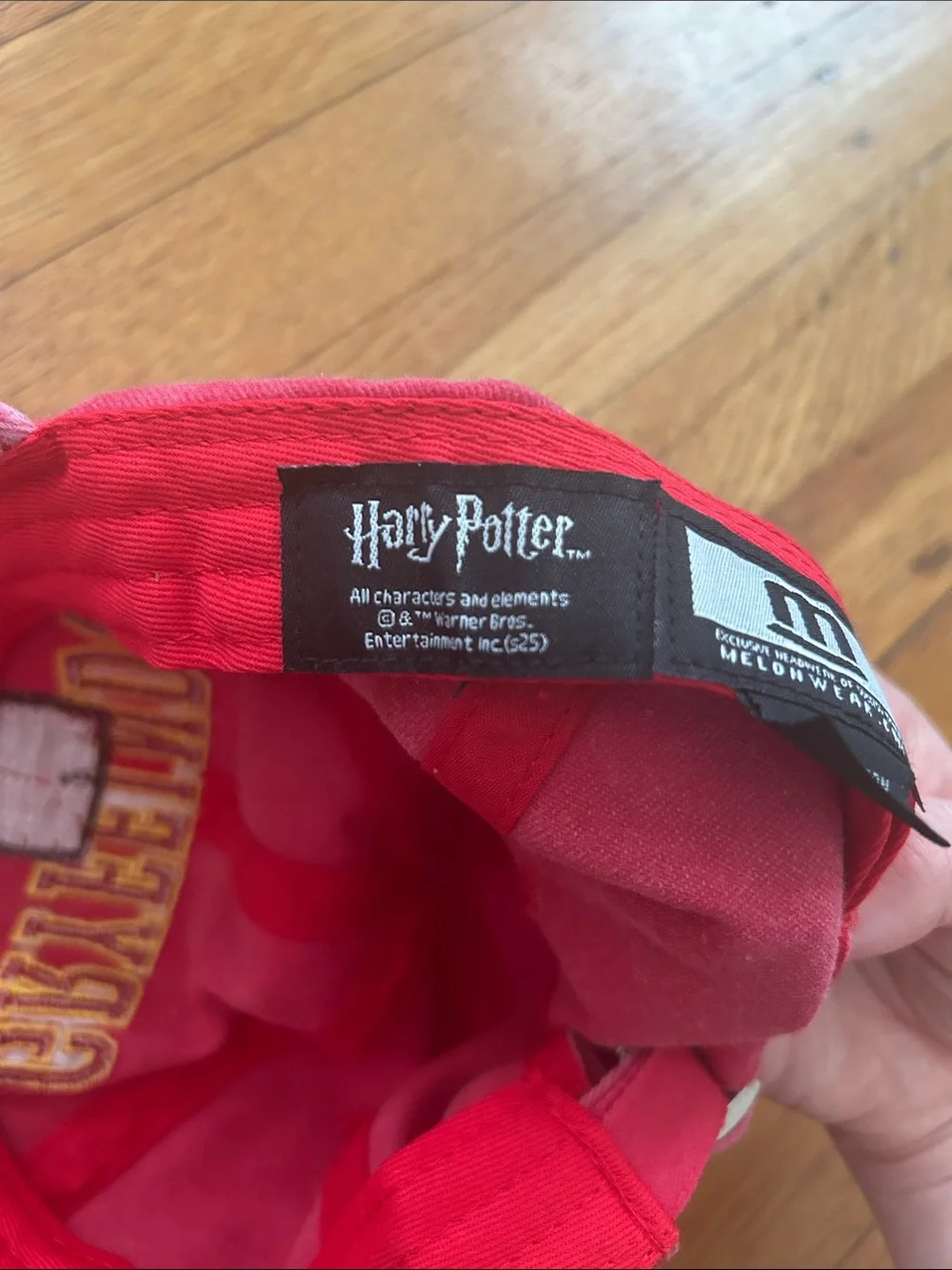 Brooklyn Cyclones Harry Potter Night 2025  Gryffindor Red Baseball Hat